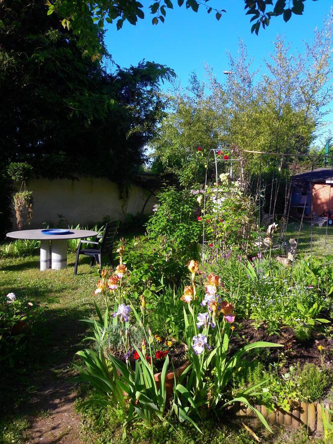 Le Vieux Vauvert Bed and Breakfast Rochecorbon Εξωτερικό φωτογραφία